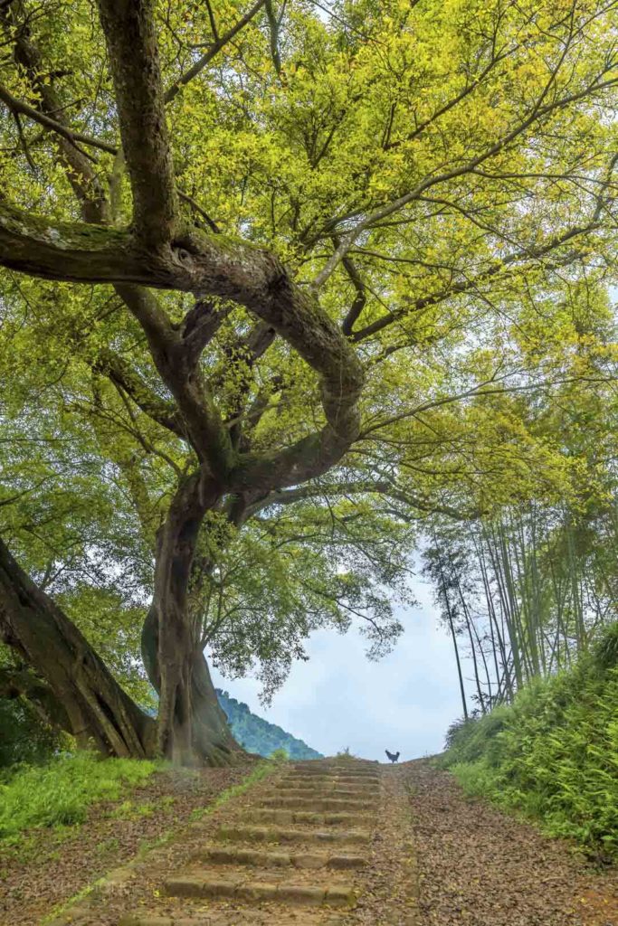 Ban Yue Li Village - Xia Pu