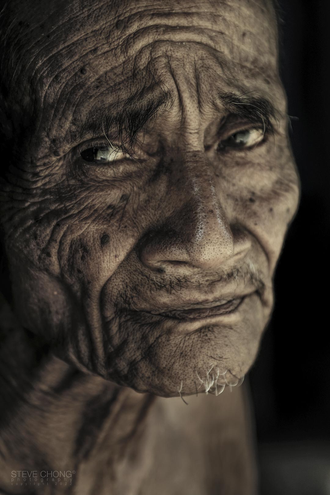 The Profile of Life