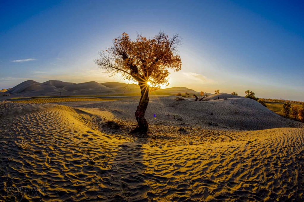 Taklamakan Desert - XinJiang China.