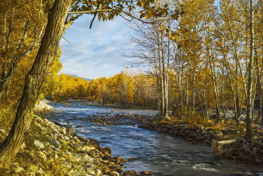 Colors of Autumn-XinJiang