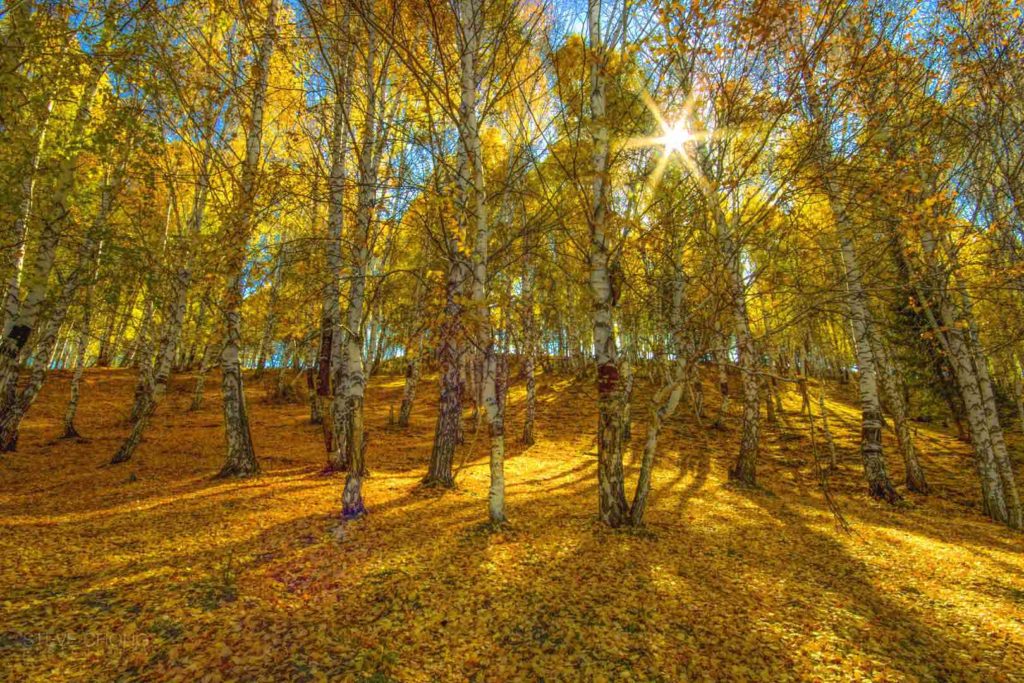 Colors of Autumn-Hom