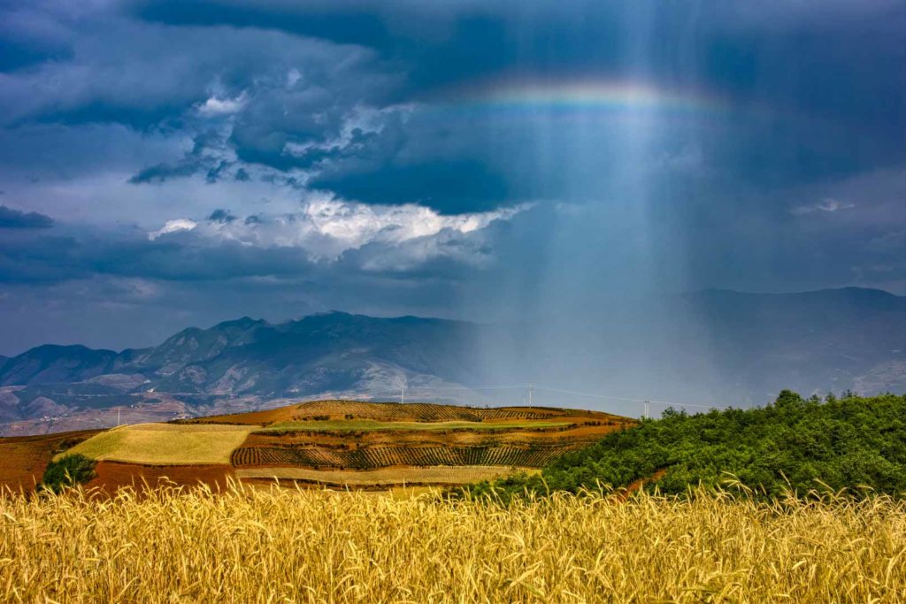 Bai Ni Tang - Rainbow