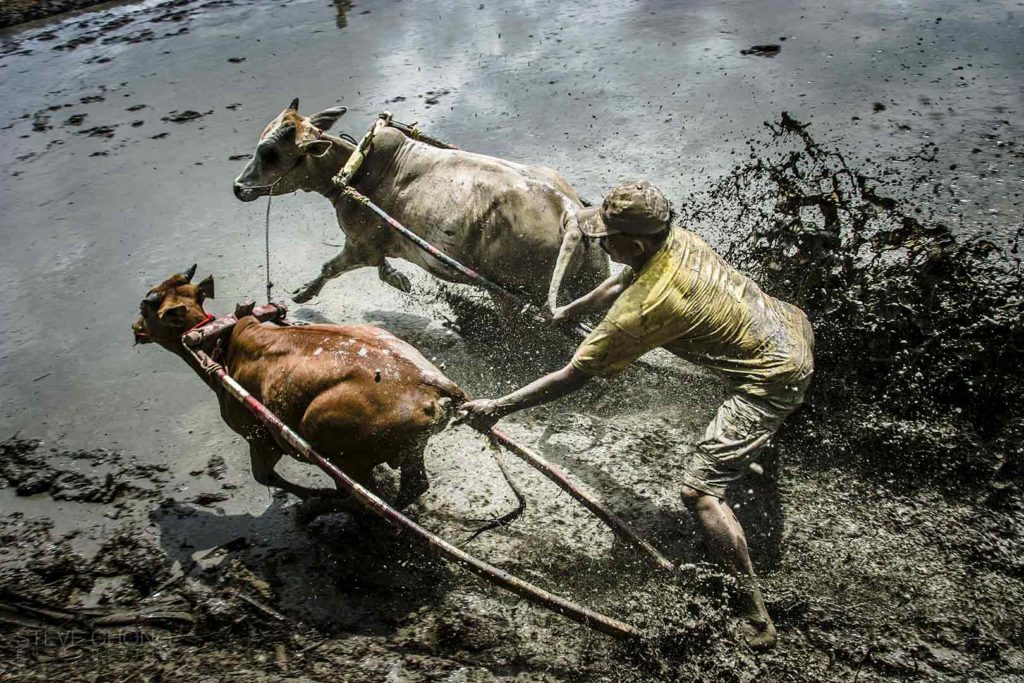 Bull Racing-Padang